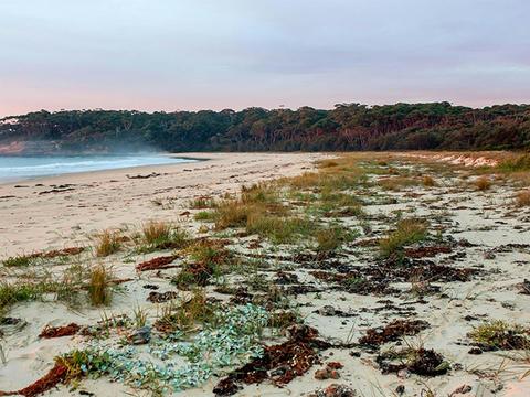 Meroo National Park