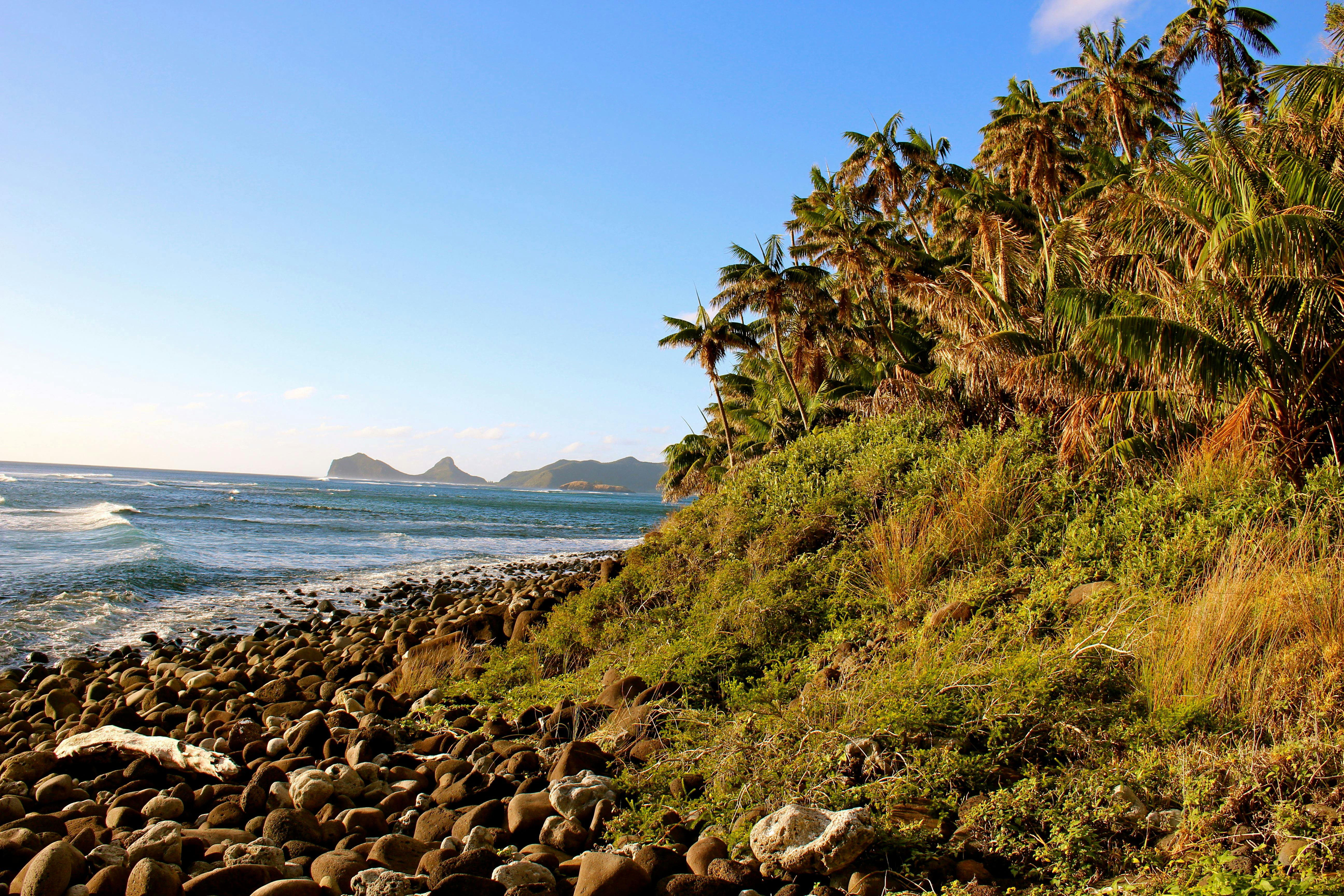 View form Little Island