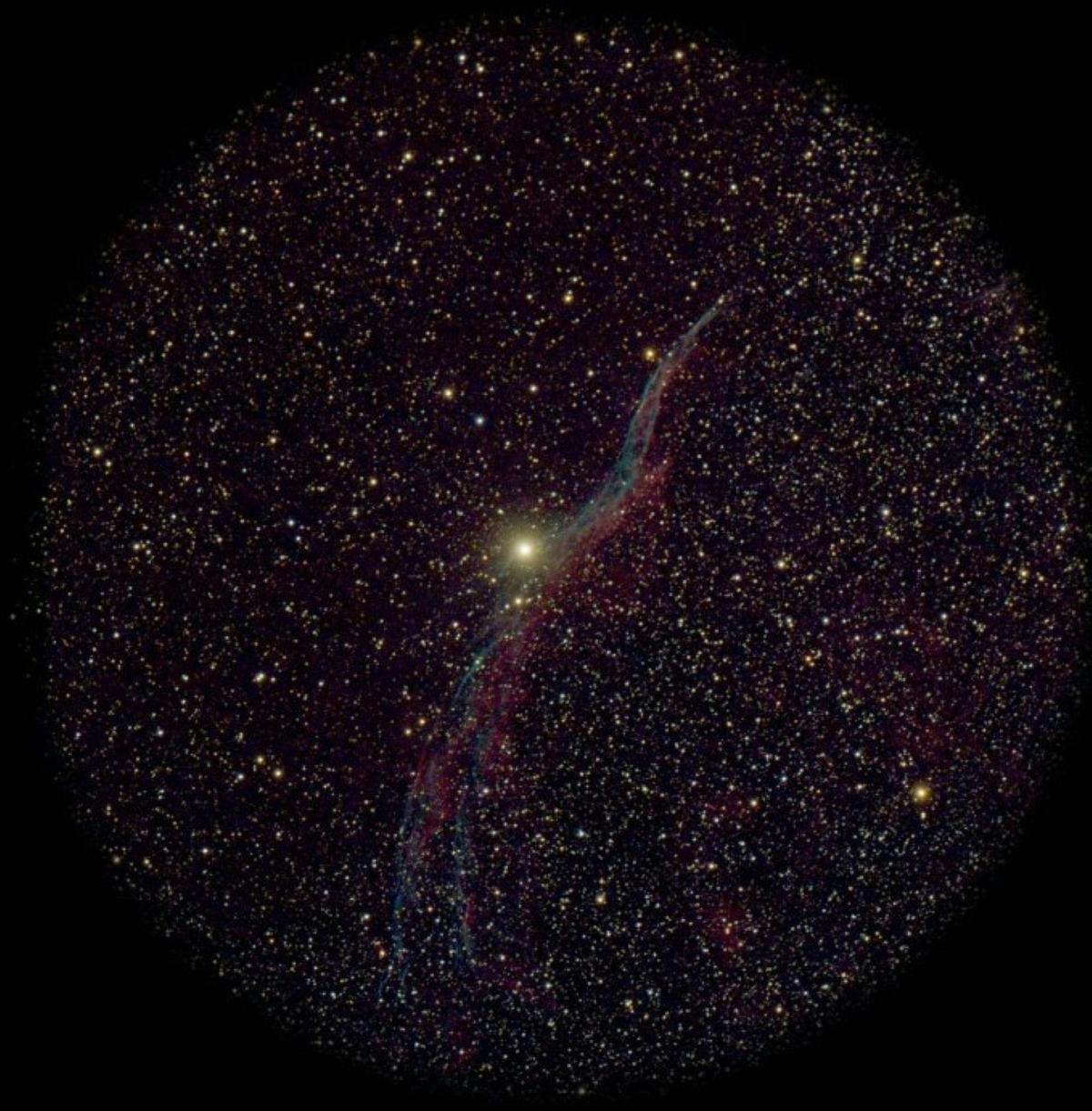 pegasus