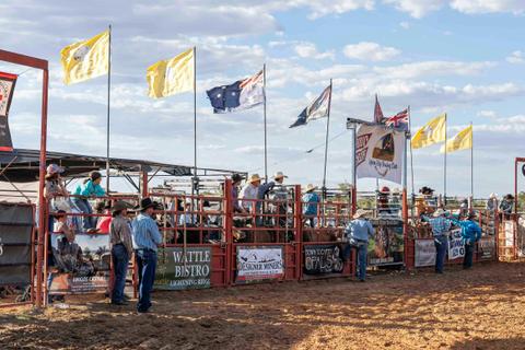 The Lightning Ridge Black Opal Bull & Bronc Ride