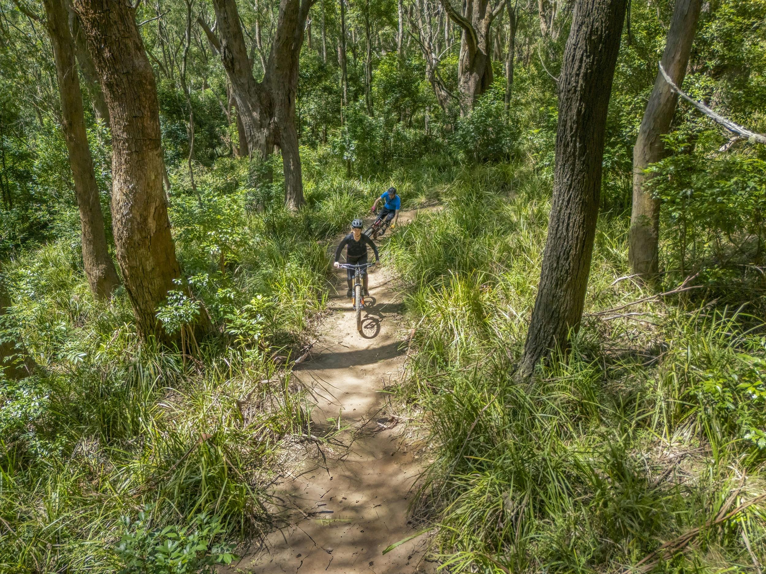 Kembla mountain bike trails