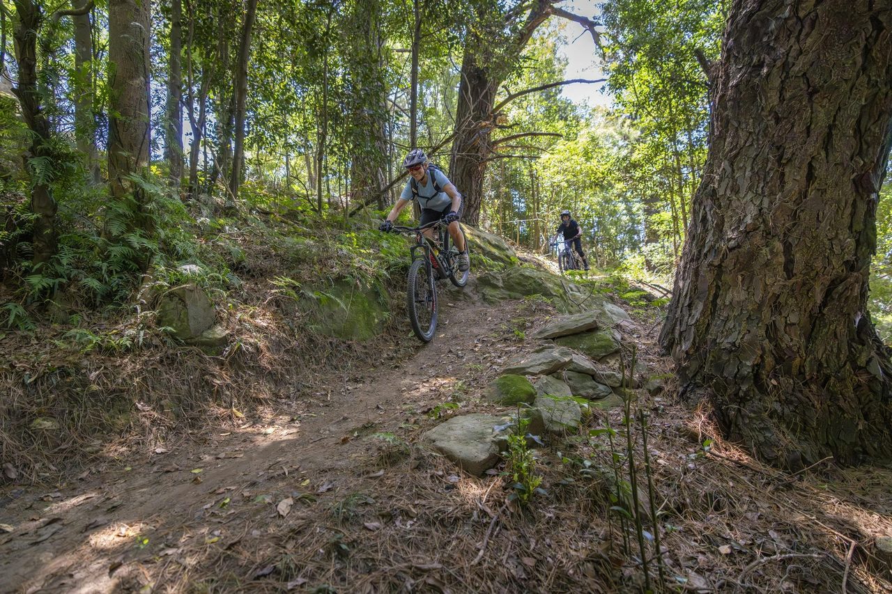 Kembla mountain bike trails