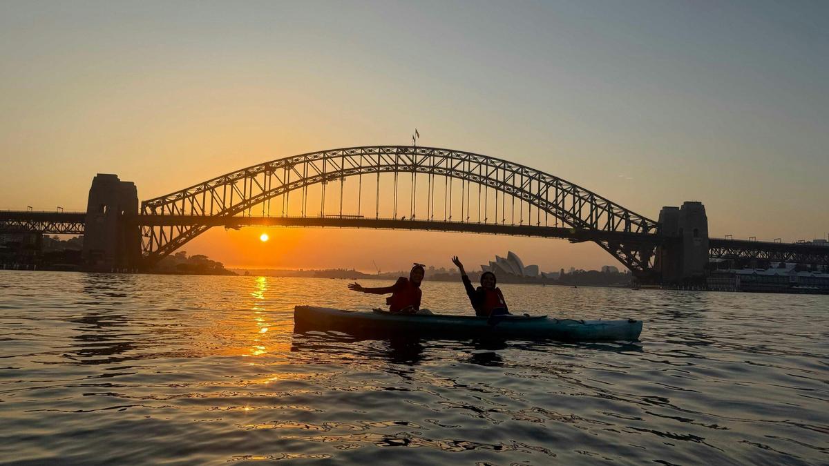 Kayakers gliding past Lavender Bay with Harbour Bridge views