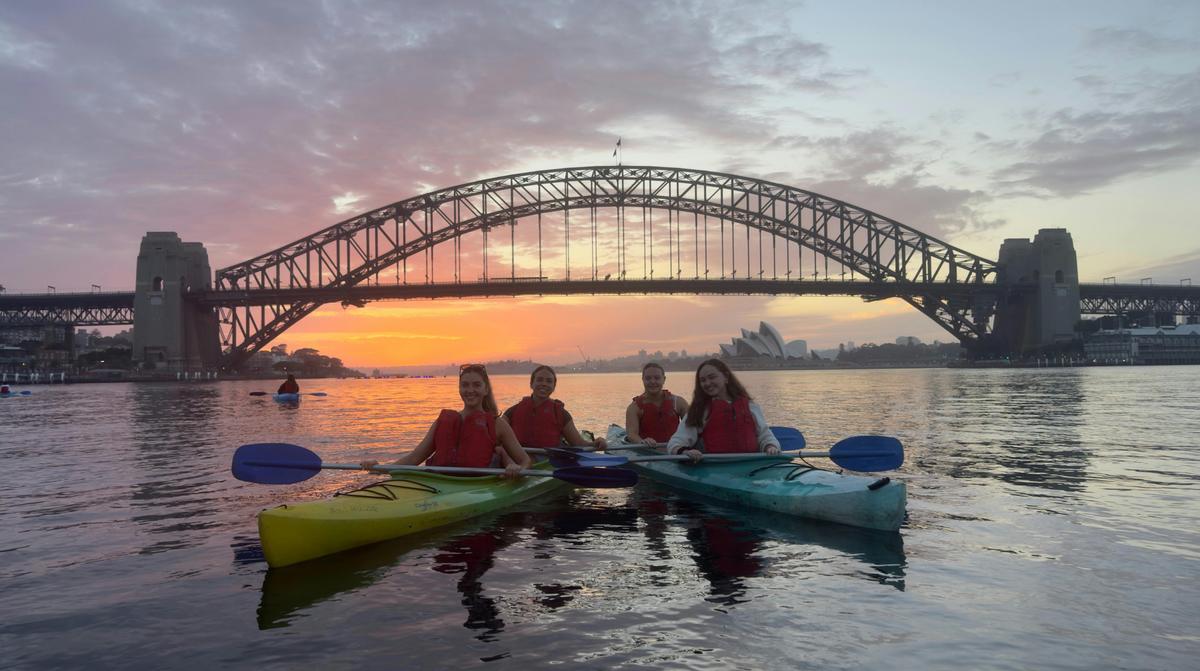 Sunrise kayak group paddling across Sydney Harbour with city skyline and Harbour Bridge