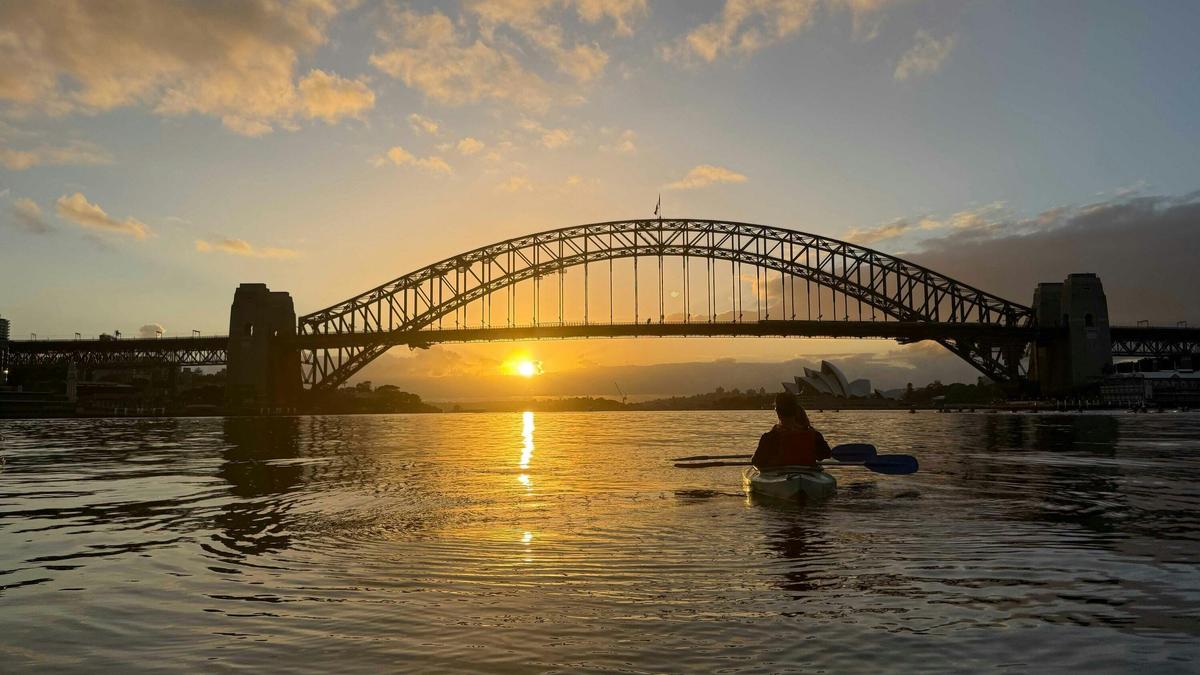 Paddlers gliding through sheltered waters near Lavender Bay on a sunrise tour