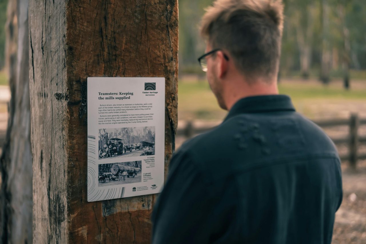 Learn about the fascinating Timber Heritage