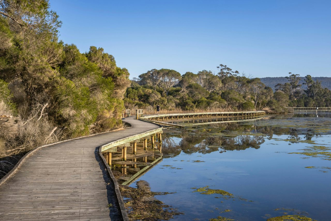 Lake Curalo Boardwalk