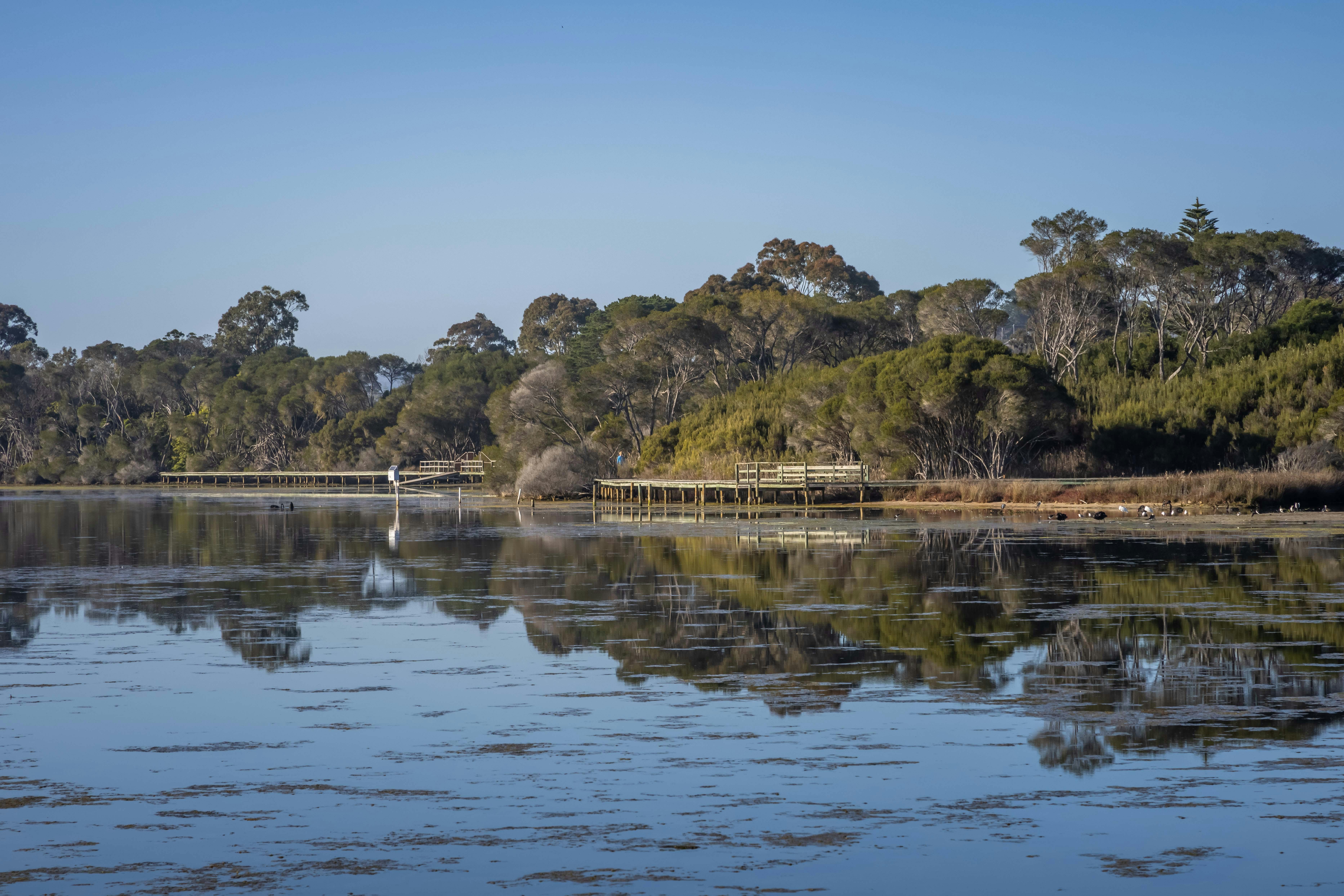 Lake Curalo Boardwalk