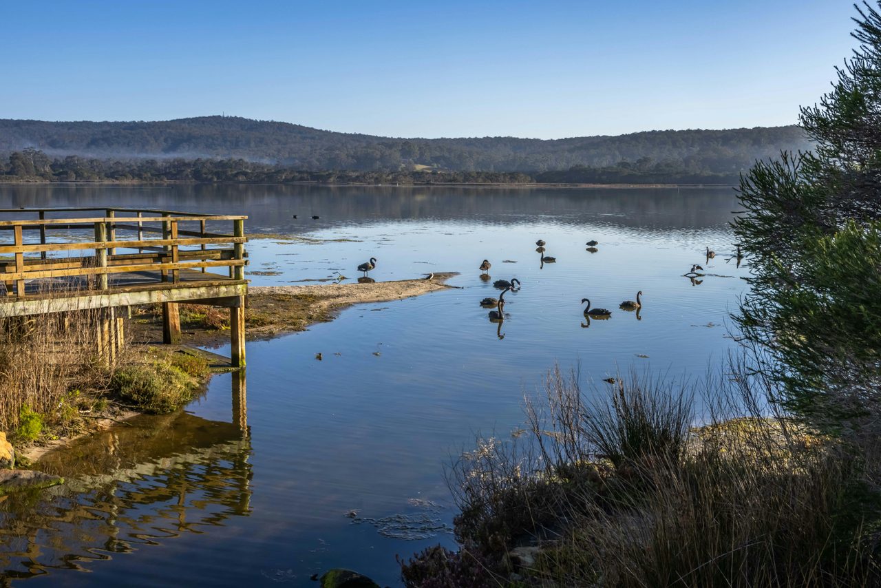 Lake Curalo Boardwalk