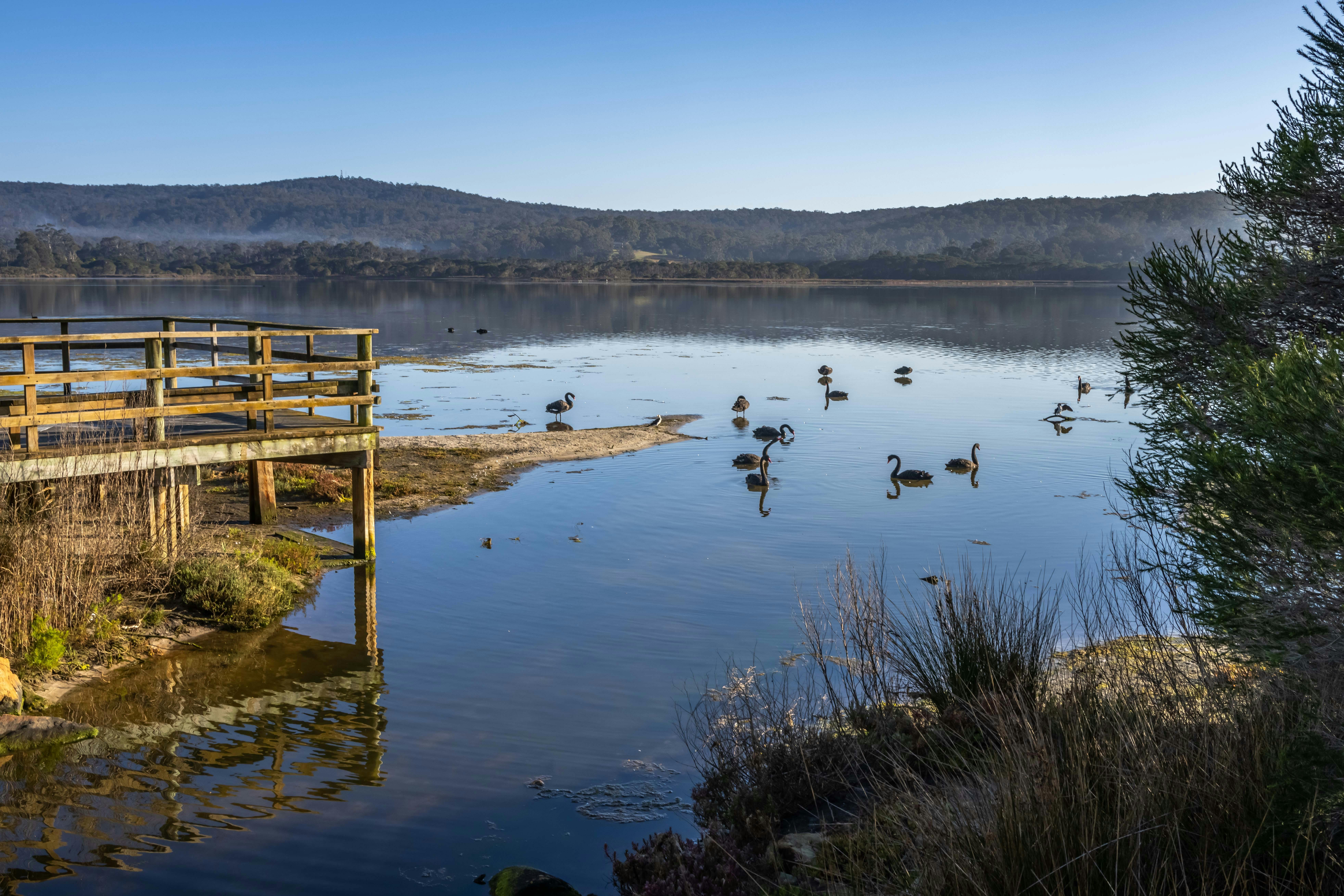 Lake Curalo Boardwalk
