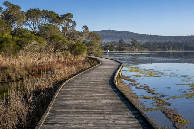 Lake Curalo Boardwalk