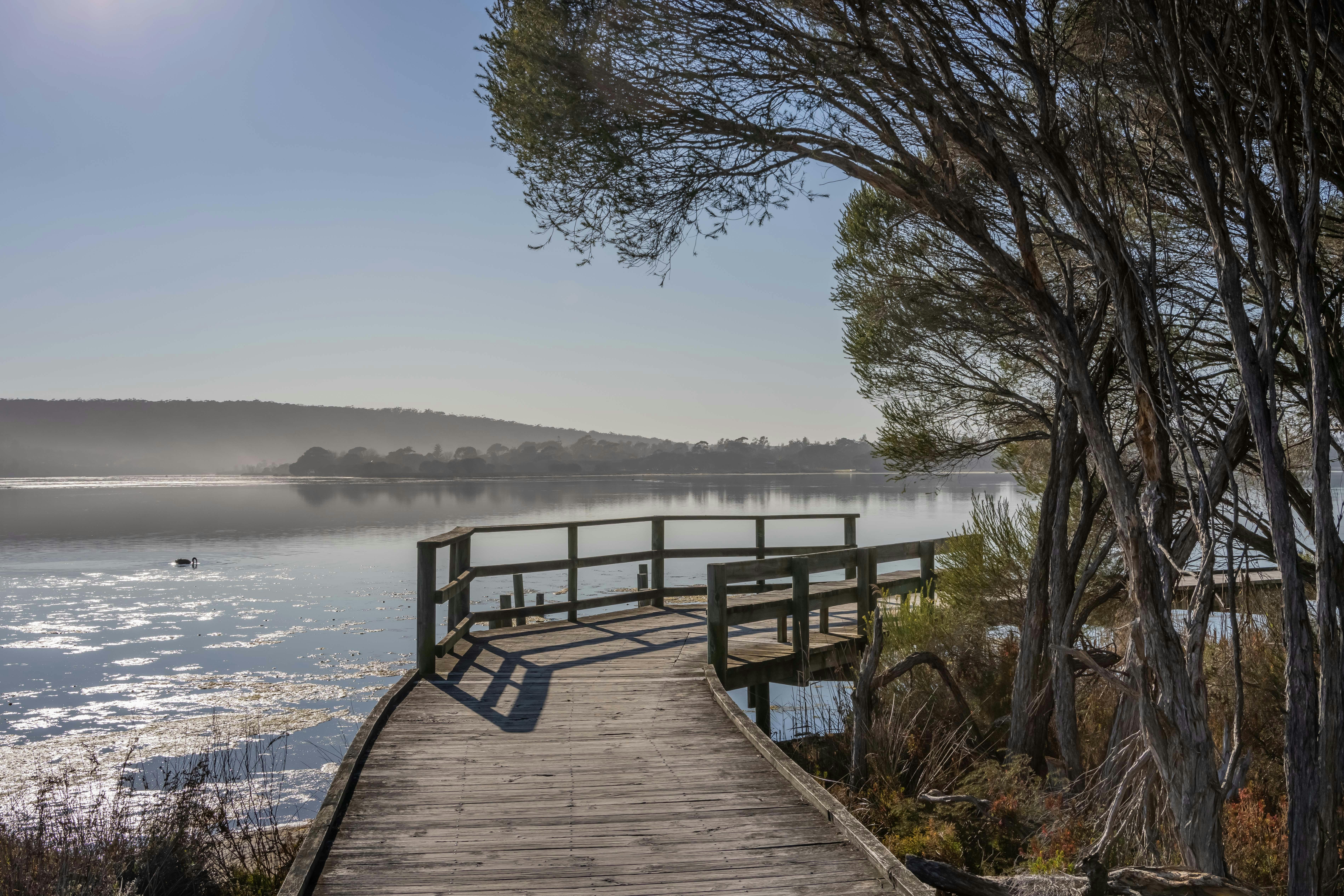 Lake Curalo Boardwalk