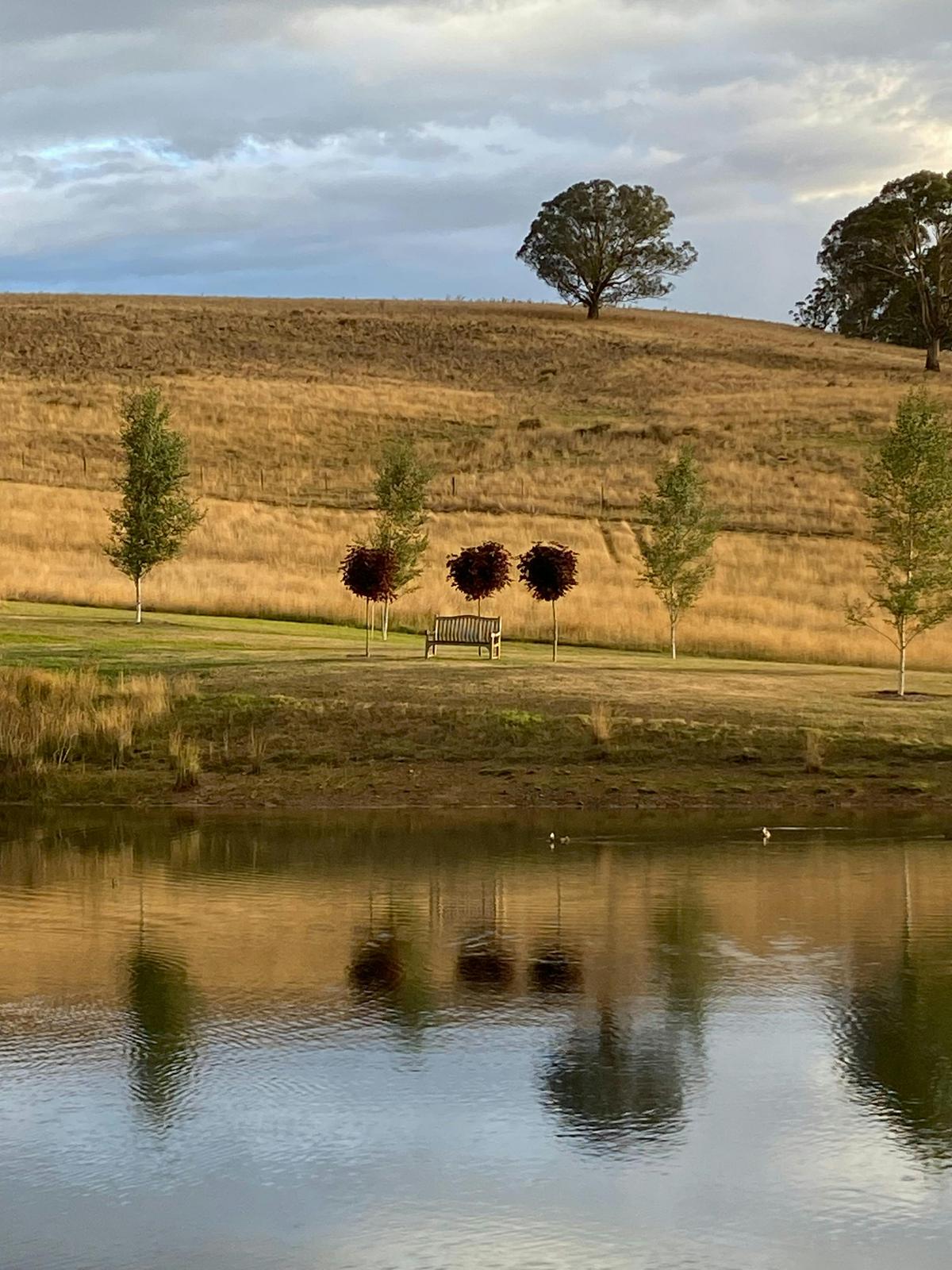 Sit by RedGround Dam and enjoy the local wildlife