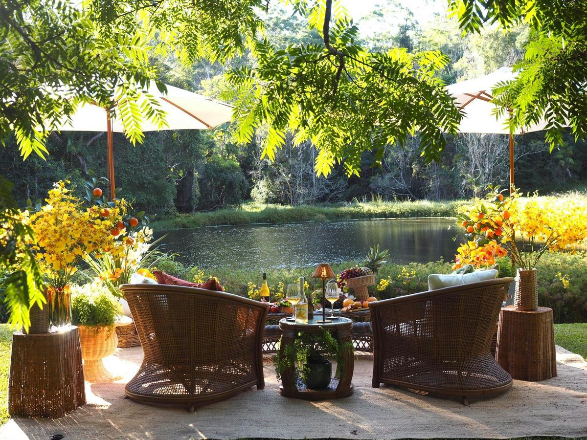 Lily Pond view
