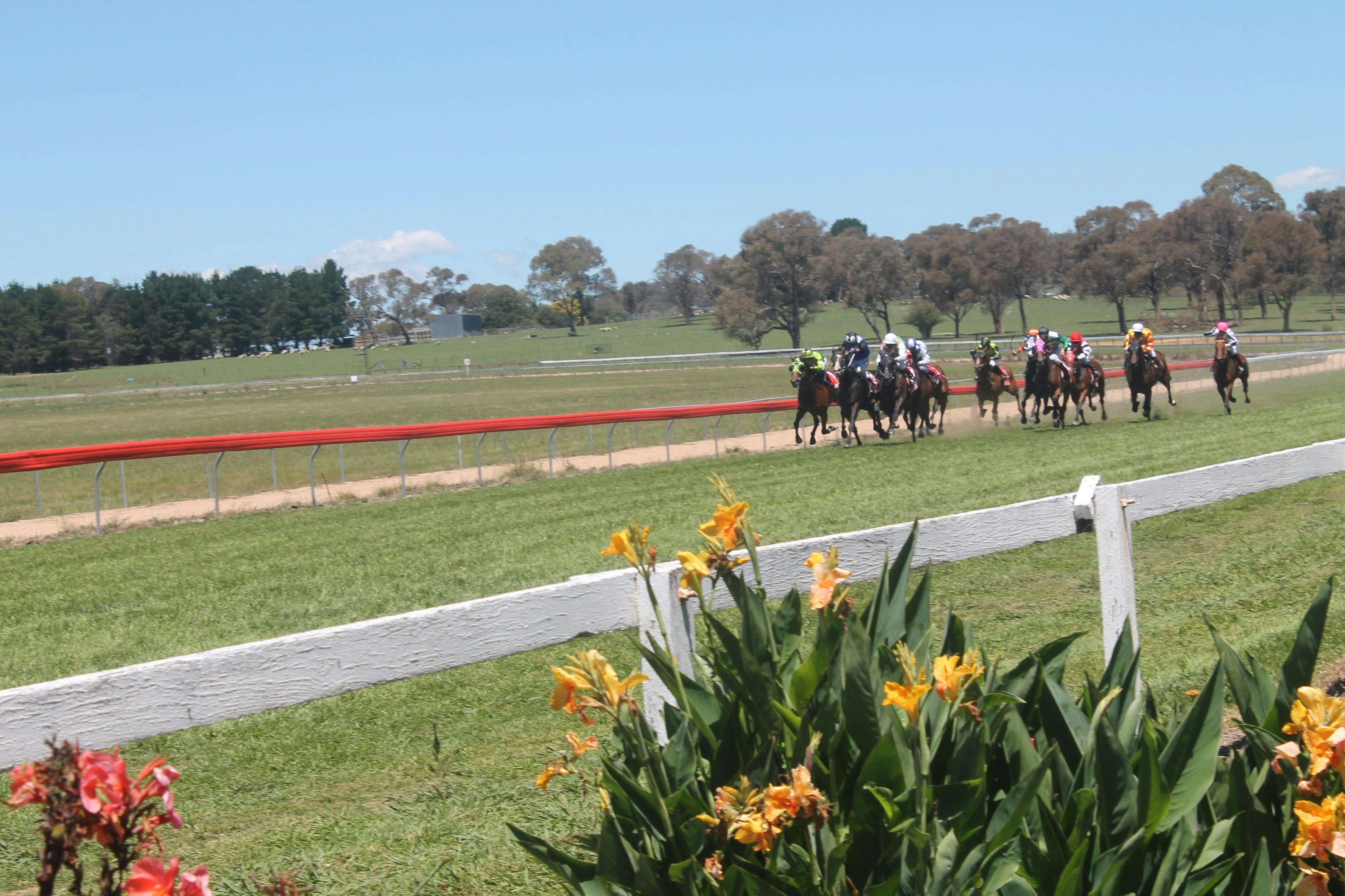 Walcha Cup & Races