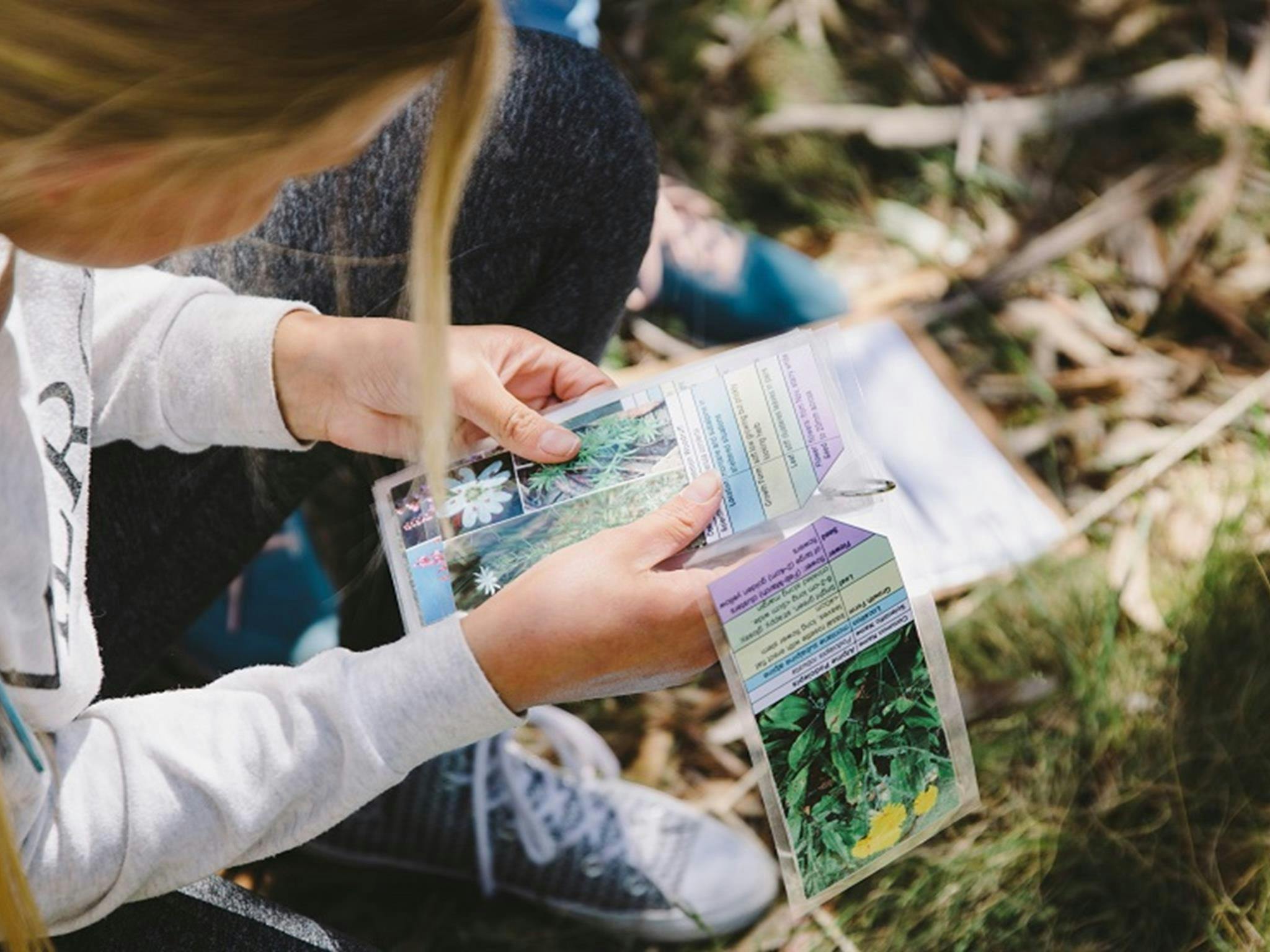 A child learning about local plants, Kosciuszko Education Centre, Kosciuszko National Park. Photo: