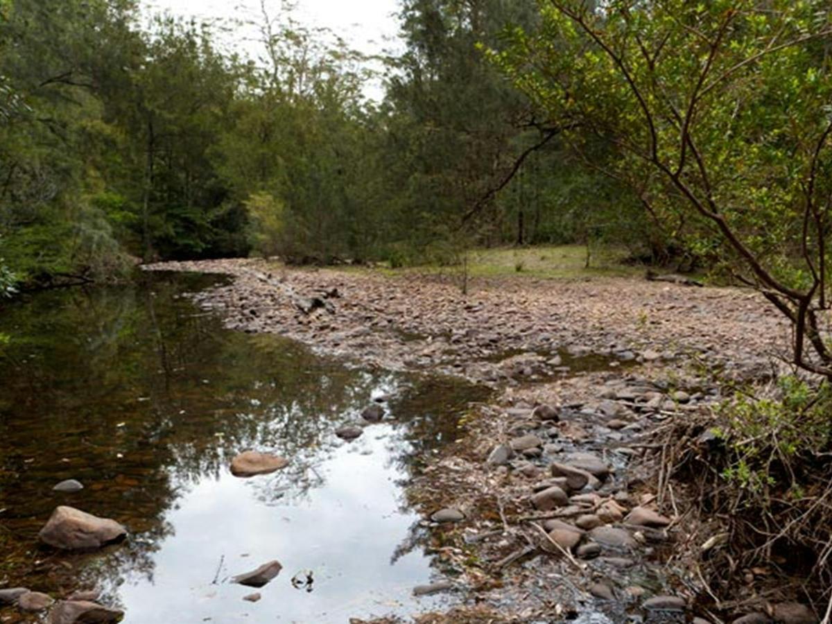 Long Gully picnic area terrain, Budawang National Park. Photo: Lucas Boyd &copy; OEH