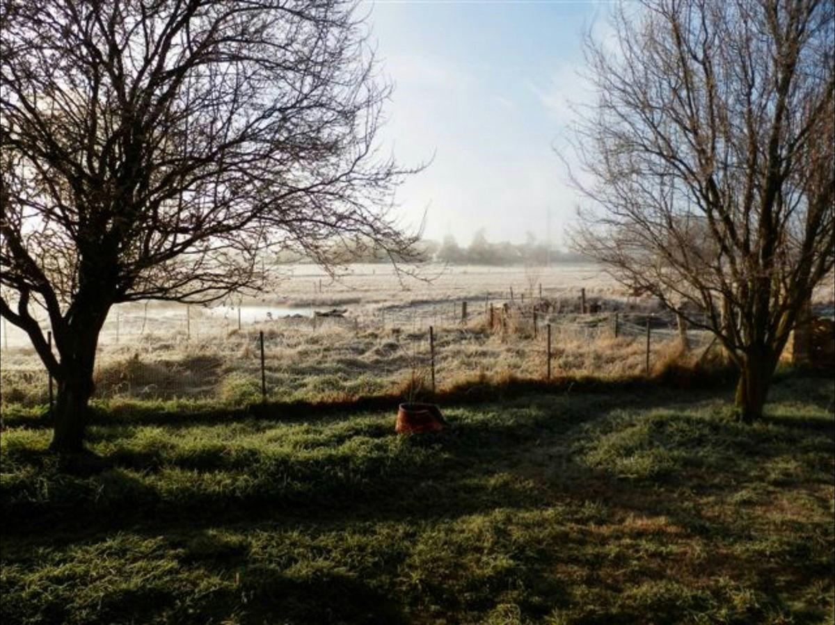 Jannei Goat Dairy