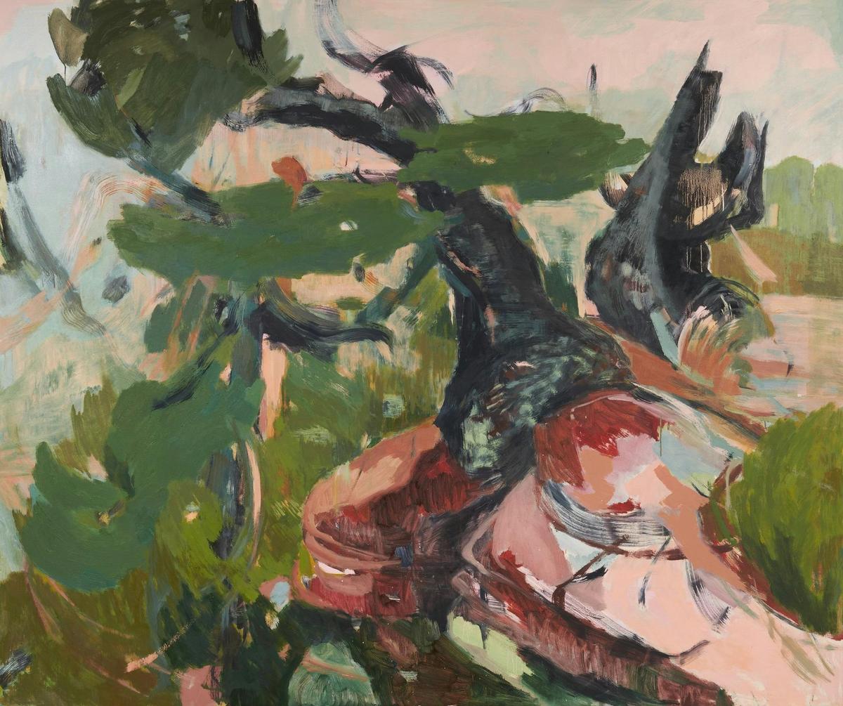 Ochre Lawson, 'Weeping Banksias', 2026, oil on linen, 183 x 153 cm