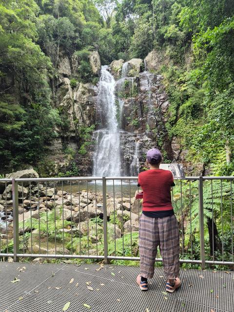 Minnamurra Rainforest Waterfall