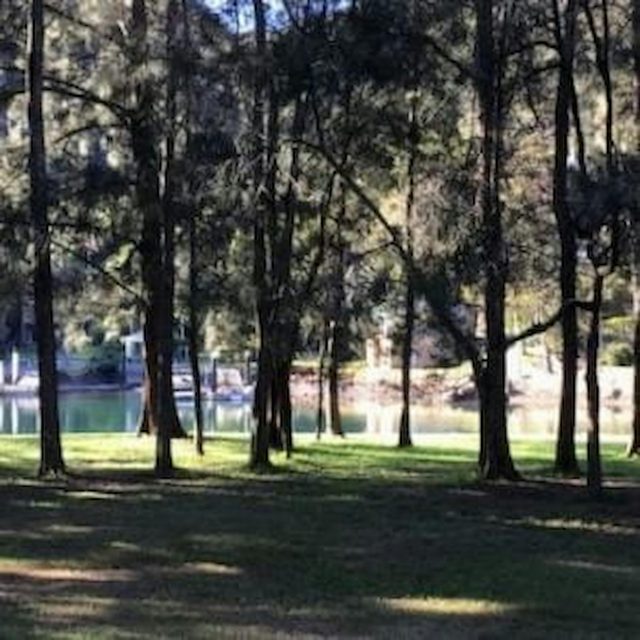 McCarrs Creek Reserve