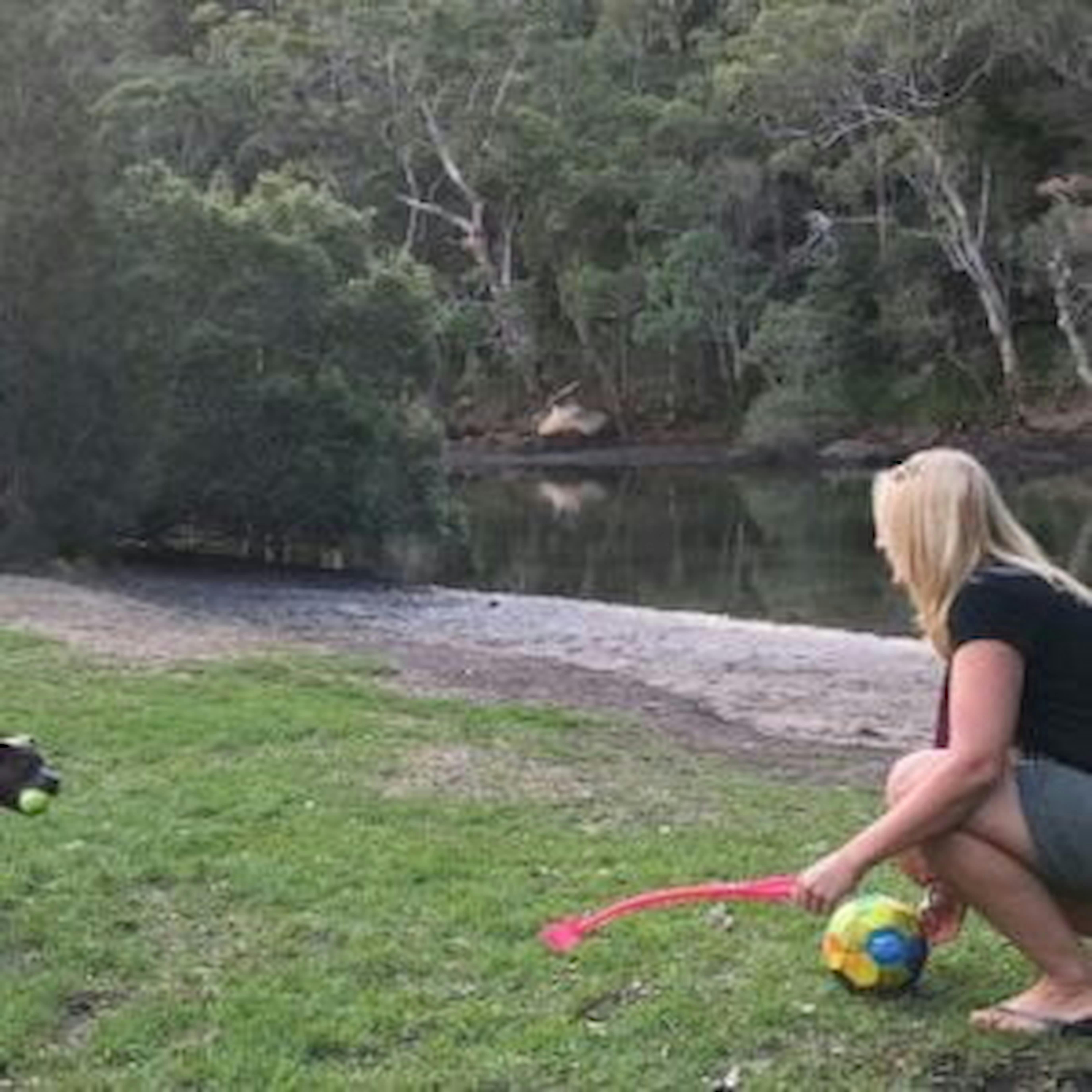 Dog Trial Area McCarrs Creek Road
