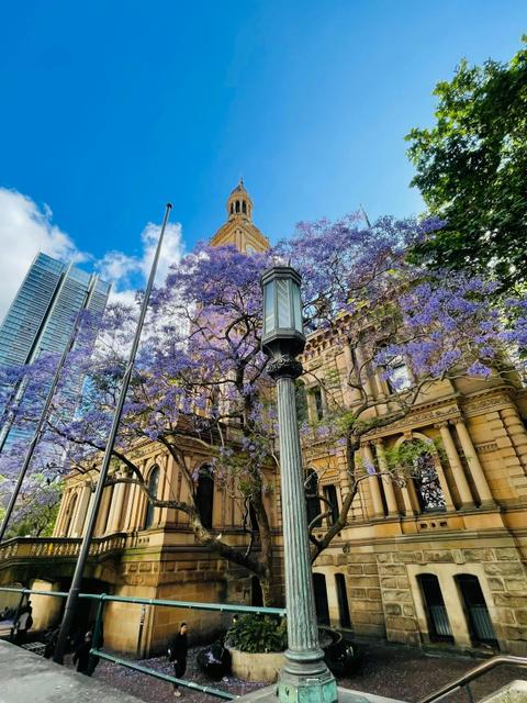 Sydney Town Hall