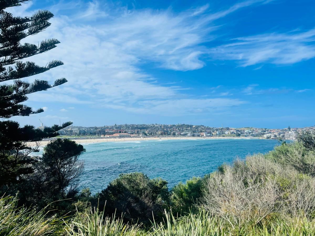 Bondi Beach
