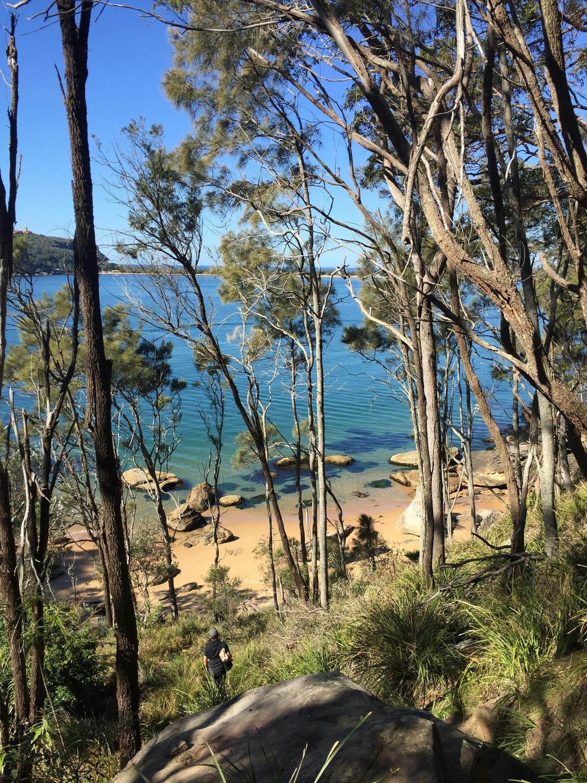Manly Harbour