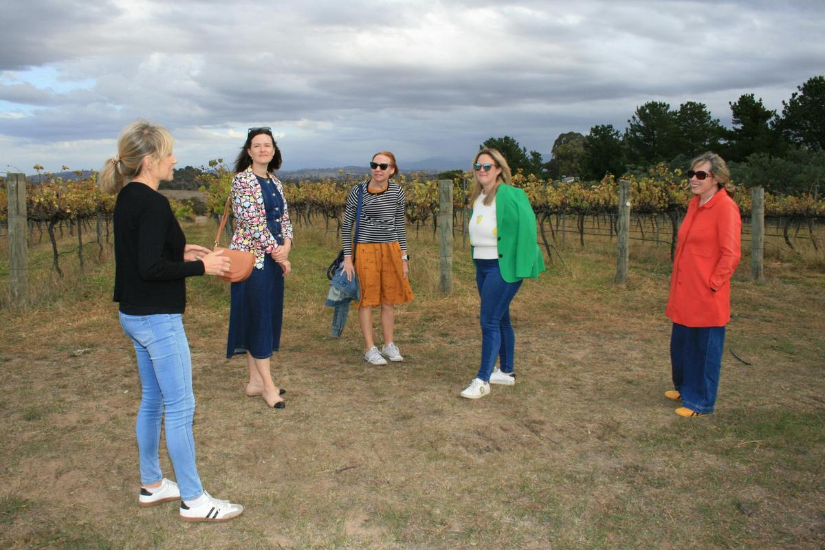 Wanderlust with Wine Tour