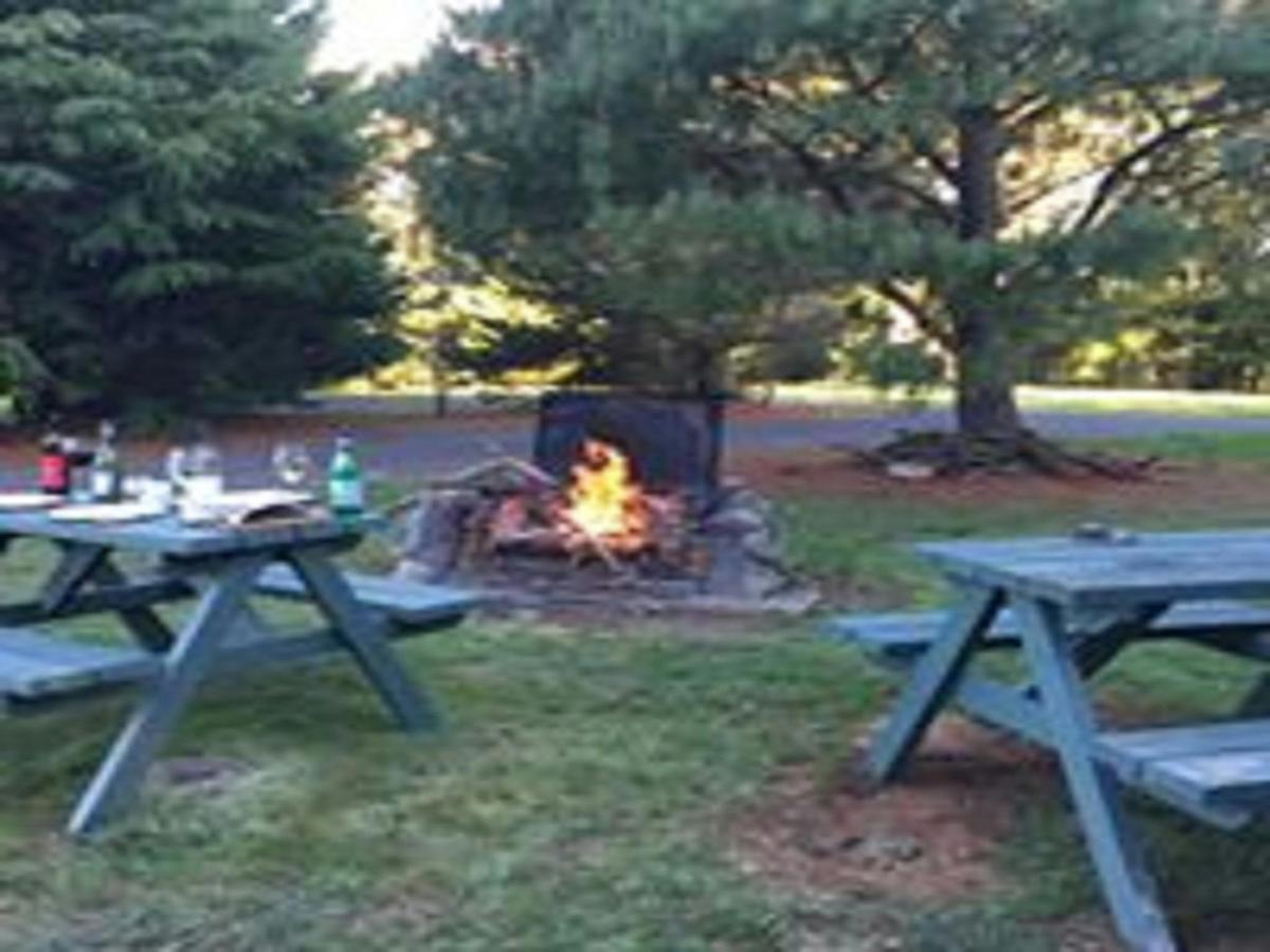 Relax and have a BBQ at Melaleuca