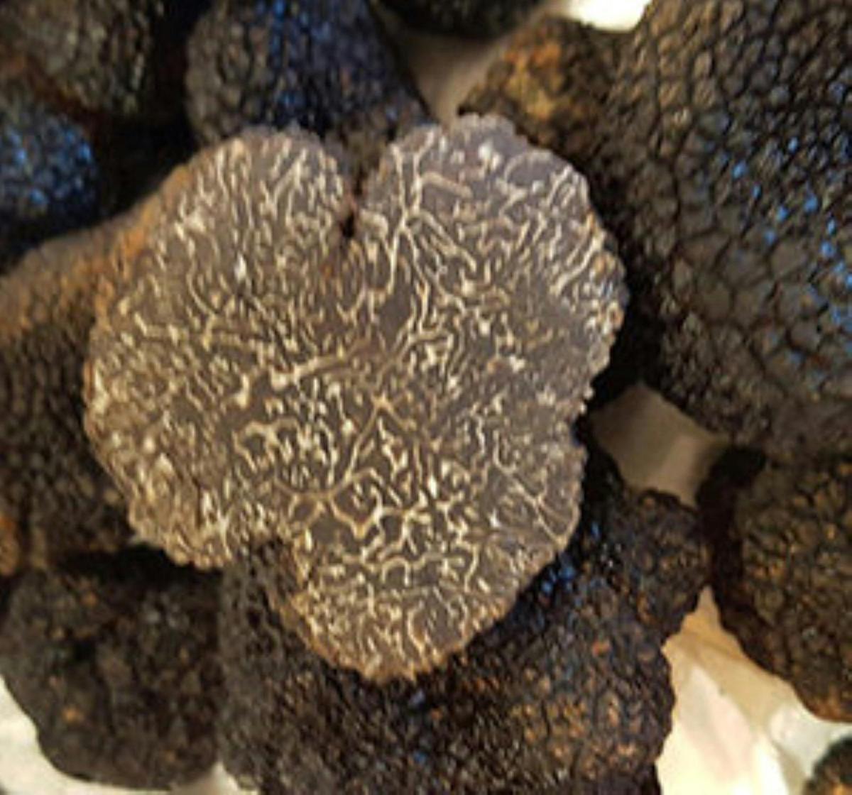 Grade A Black Truffle