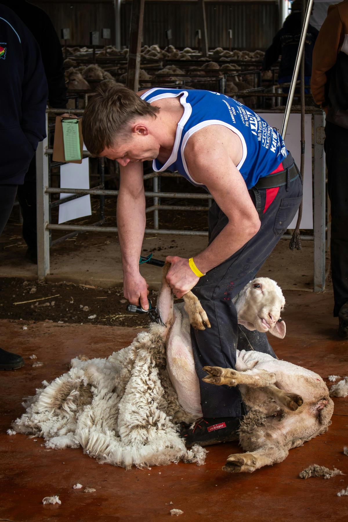 Fast-paced and full of skill, the Sports Shear at the Nyngan Ag Expo showcases top shearers competin