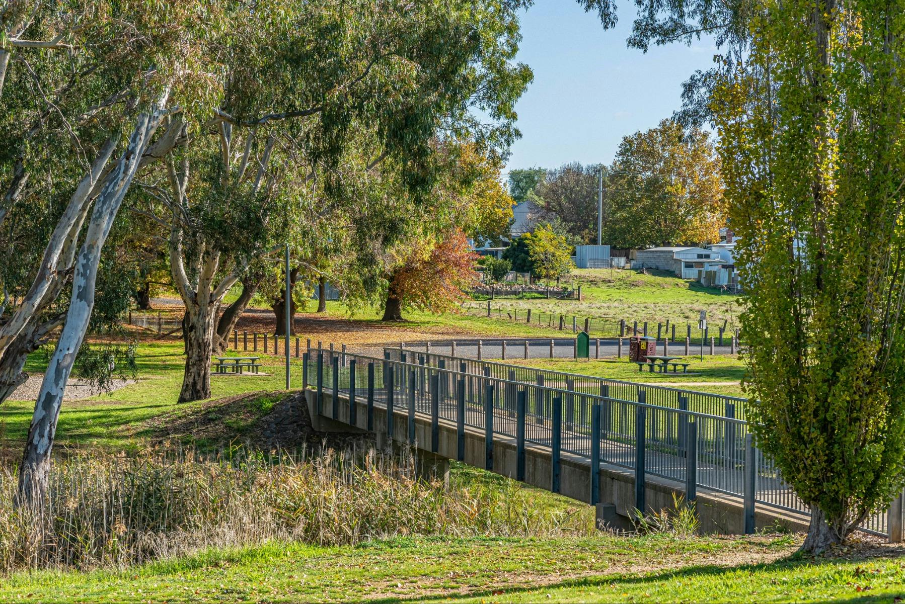 Carrisbrook