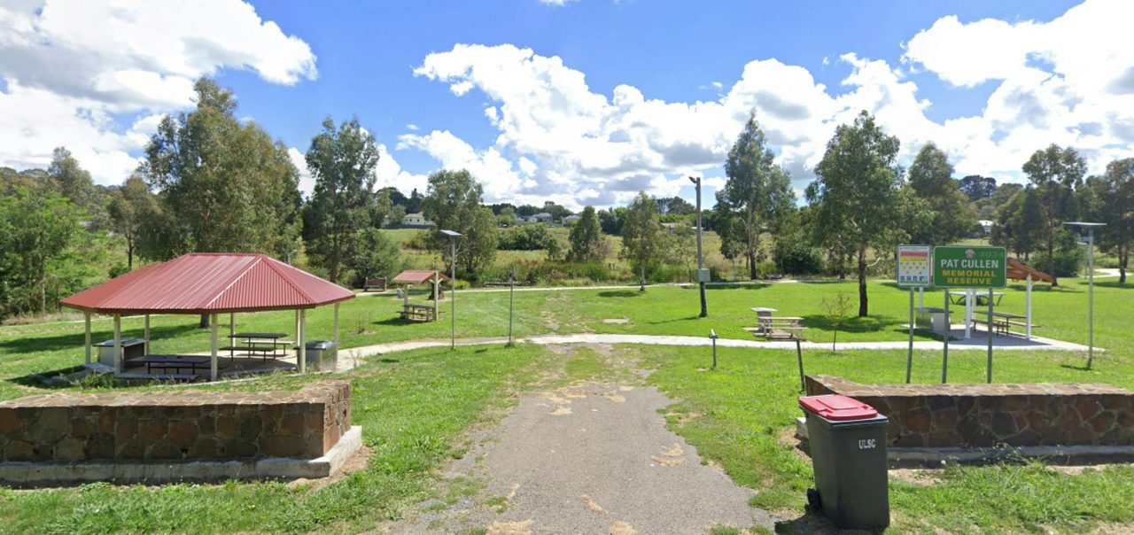 Pat Cullen reserve