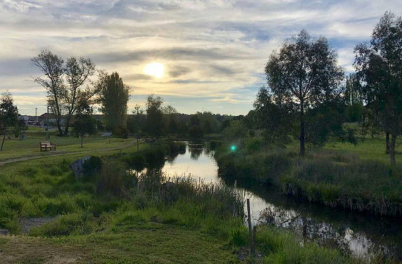 Pat Cullen Reserve