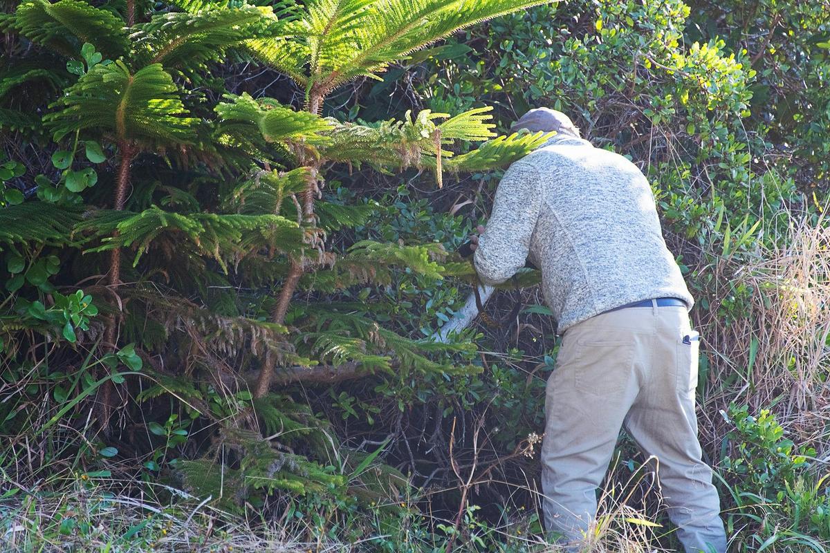 Mindful Photography Guest finding something interesting to photograph