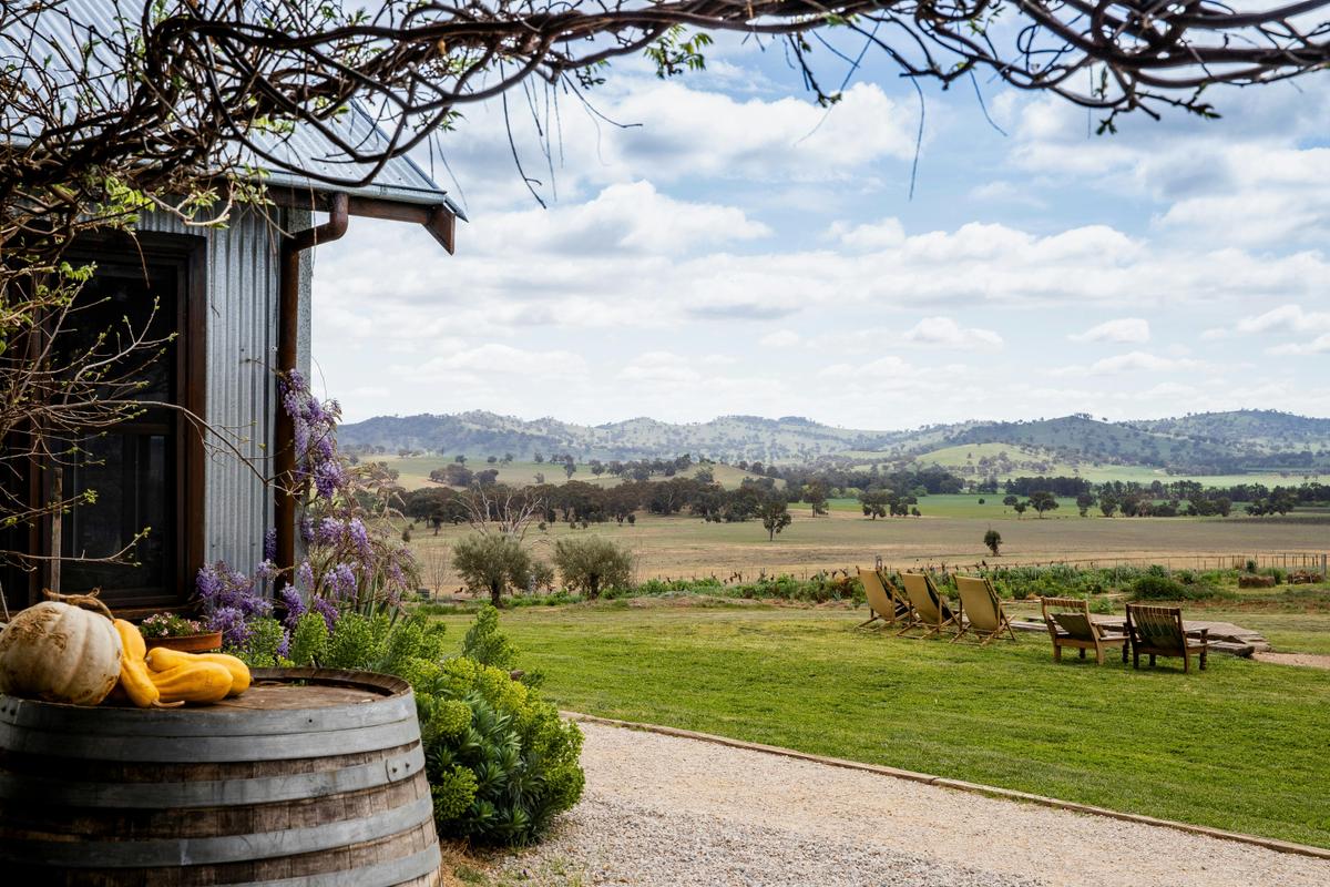 Lowe Wines