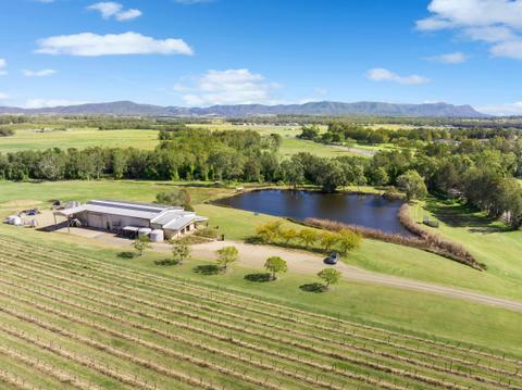 Capercaillie Wines