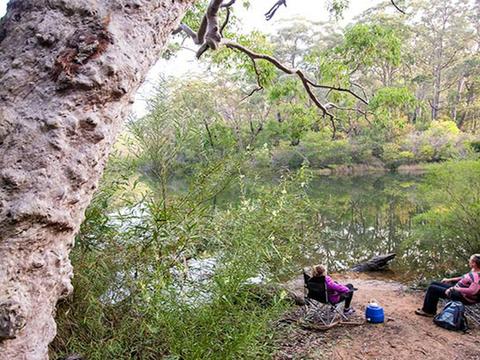 Lake Eckersley picnic area