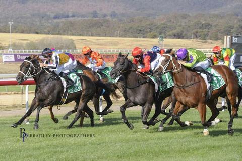 Goulburn Thoroughbred Racing - Goulburn Cup