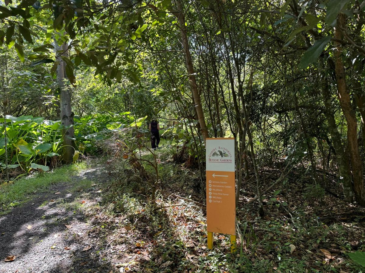 Lismore Rainforest Botanic Gardens Open Day