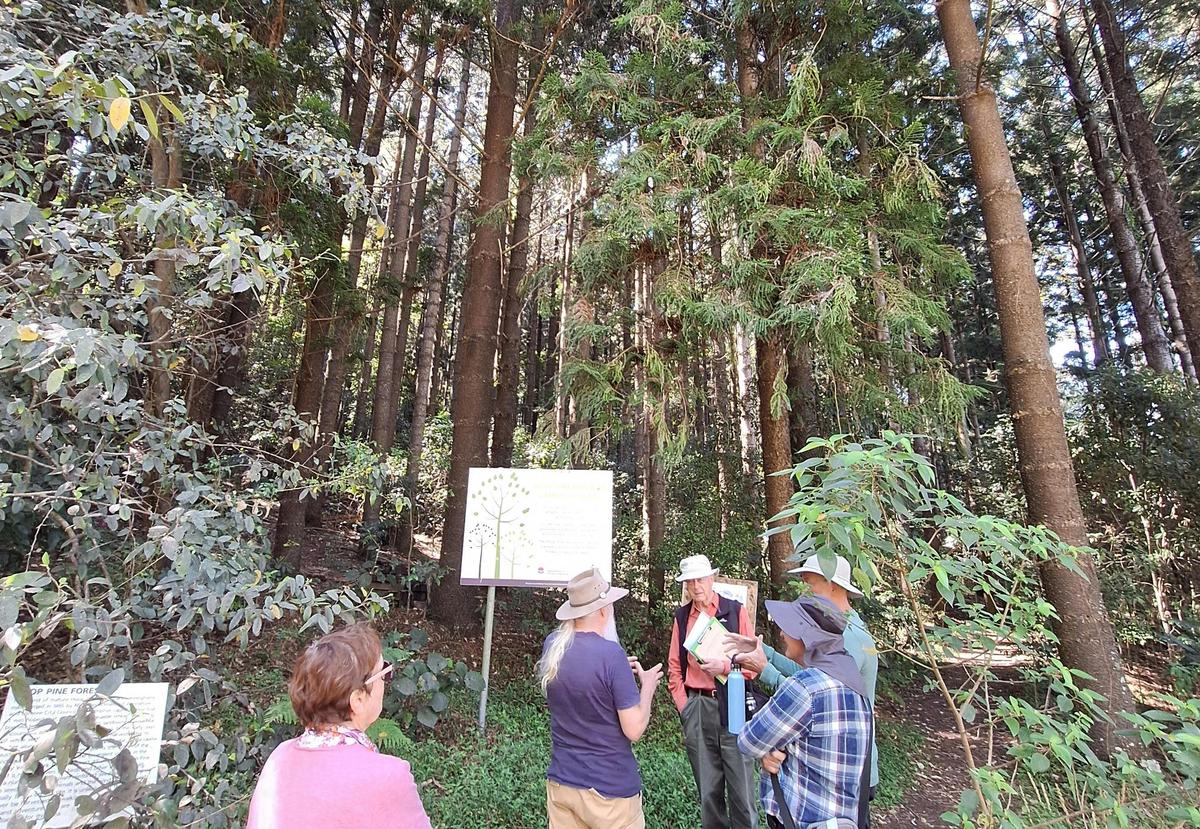 Lismore Rainforest Botanic Gardens Open Day