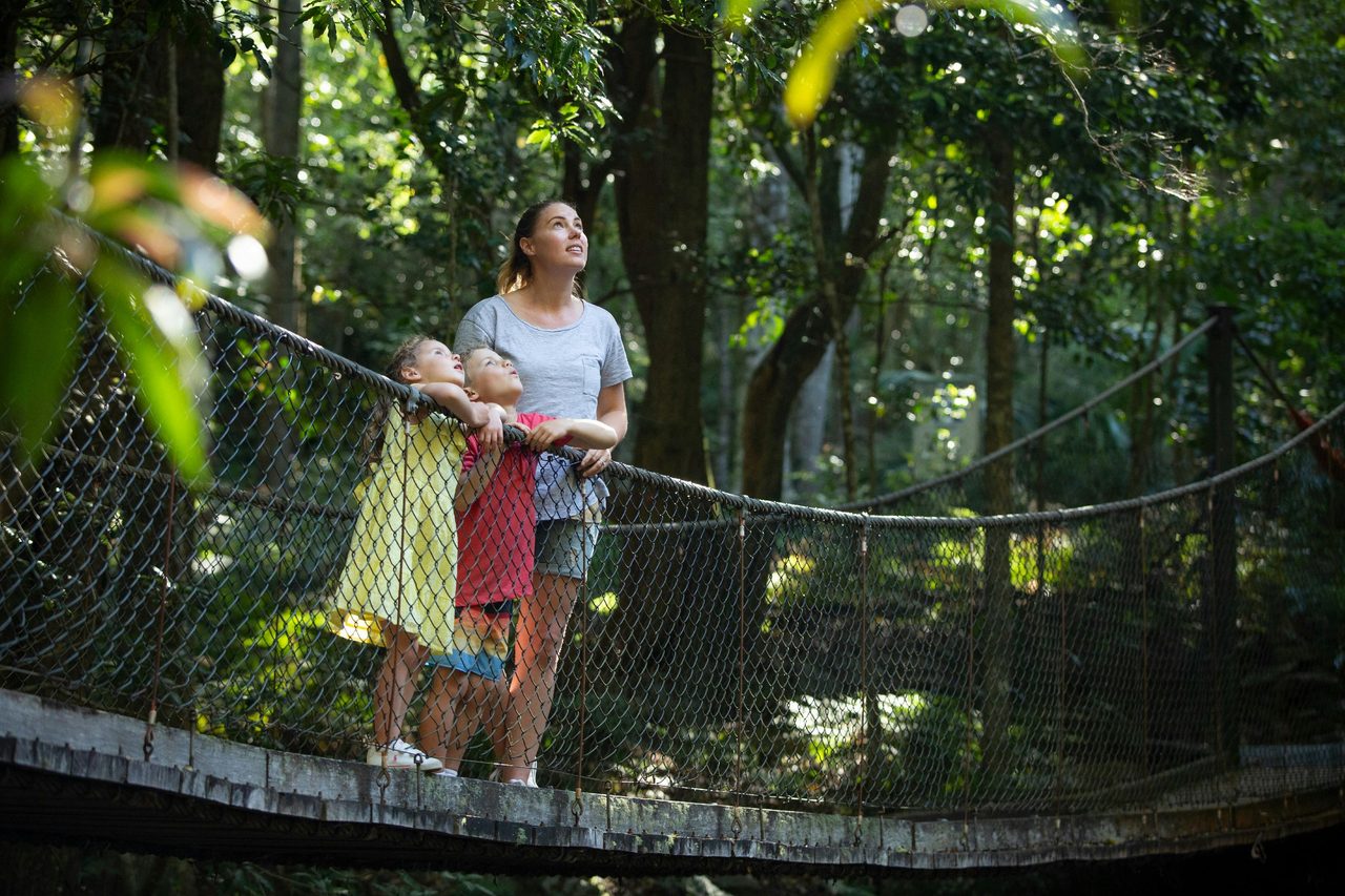 Suspension Bridge
