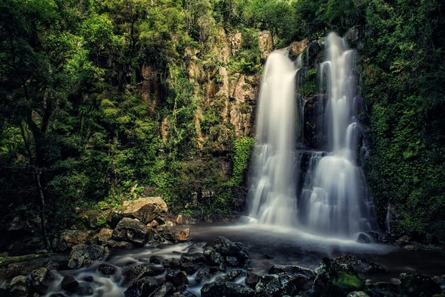 Minnamurra Rainforest Centre: Budderoo National Park