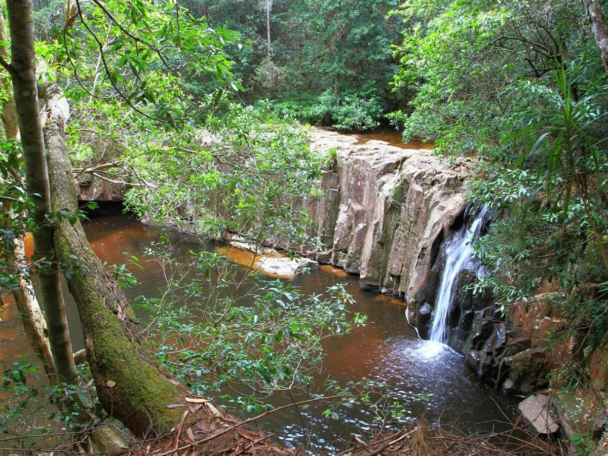 Waitui Falls in the Barrington Coast
