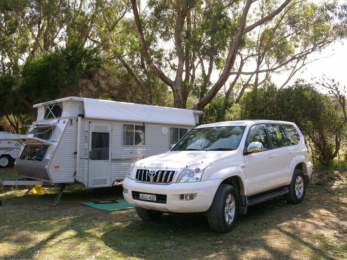 Set in a Coastal Mannagum Forest.