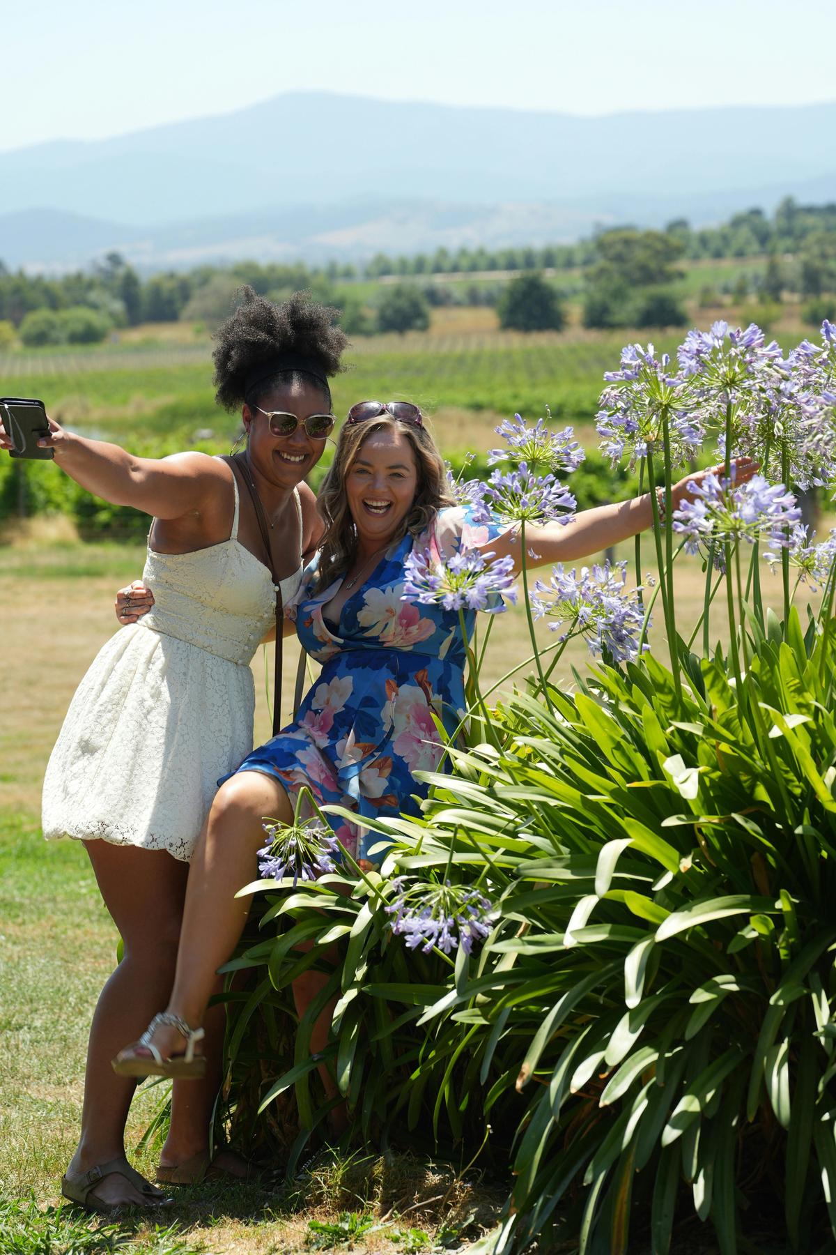 Laid back Yarra Valley Wine, Gin, Cider, beer and chocolate tour