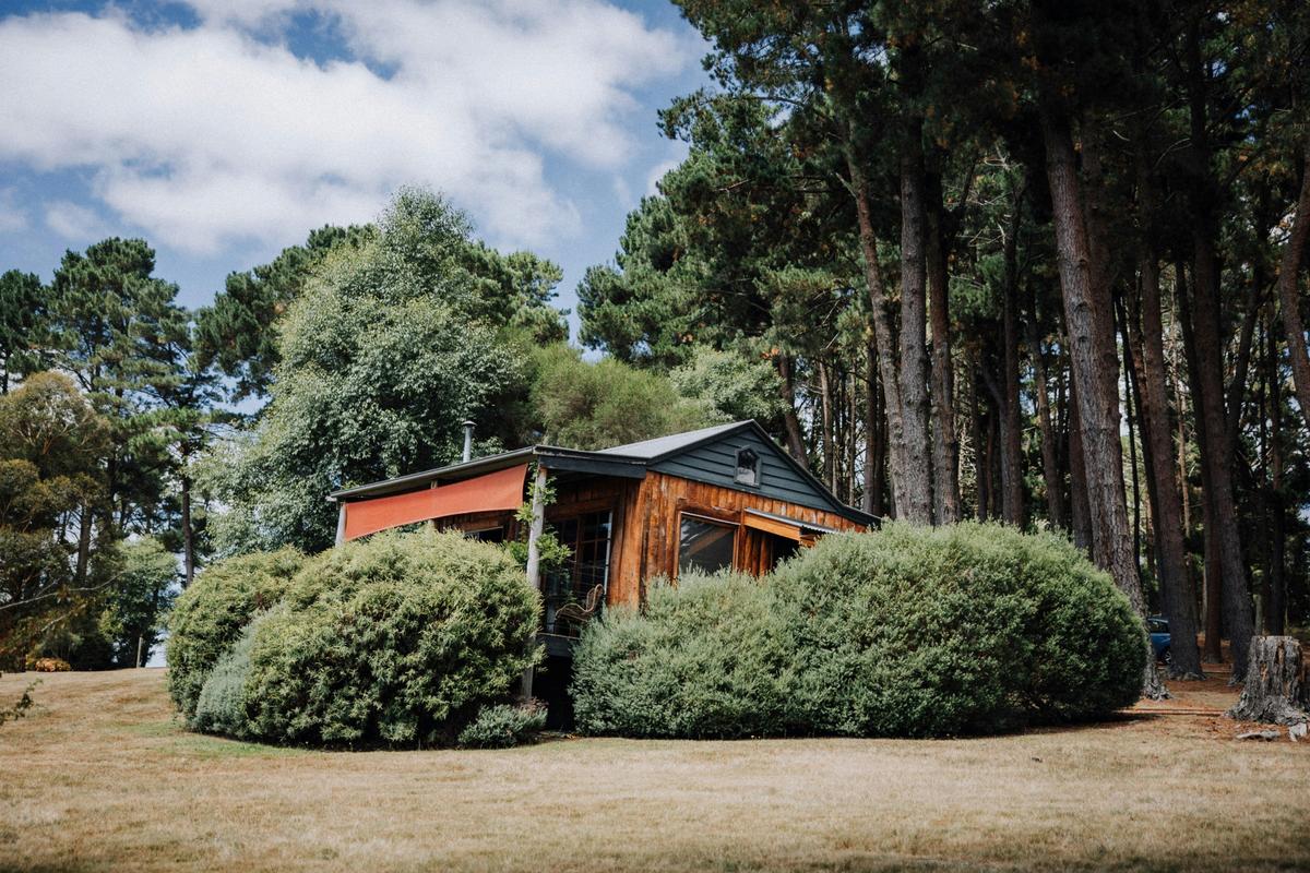 Cabins