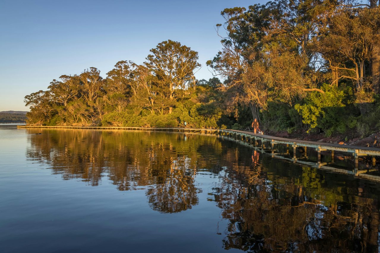Merimbula Boardwalk